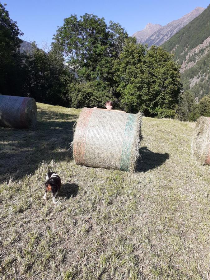 Appartamento Signorile Con Giardino Aosta Exterior foto