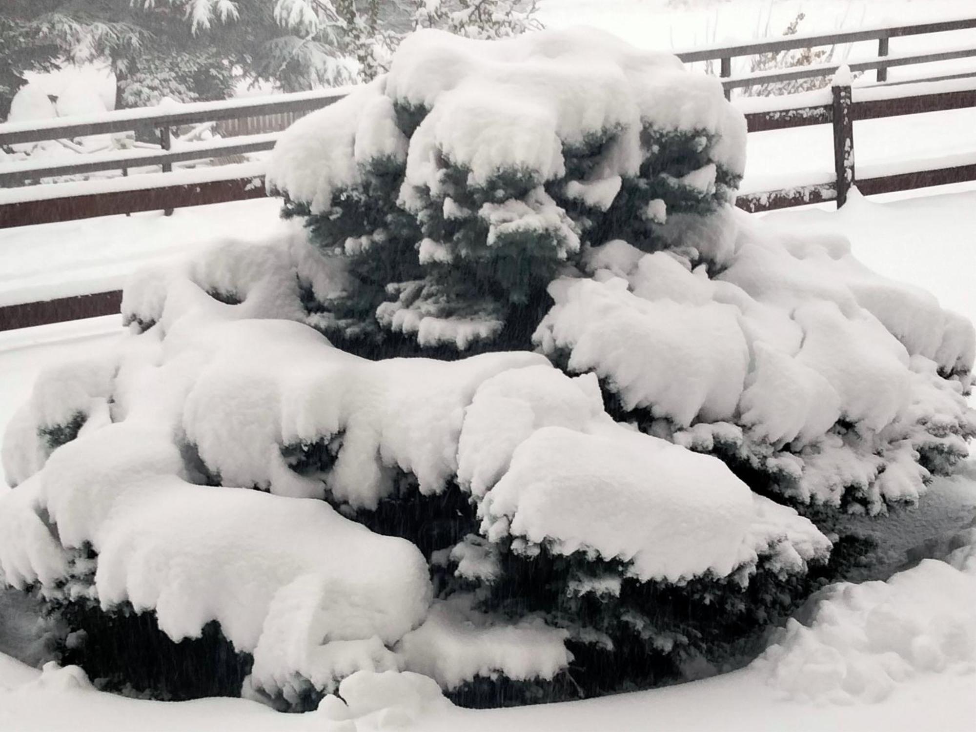 Appartamento Signorile Con Giardino Aosta Exterior foto